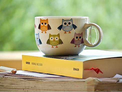 Tea Time in der Stadtbücherei Wesselburen