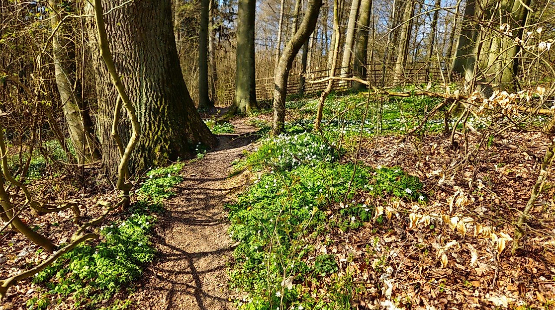 Pilgern durch die Jahreszeiten