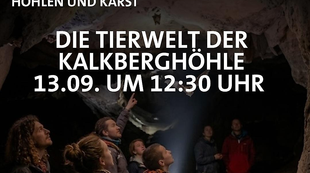 Tierwelt