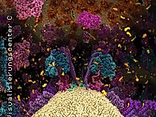 Die Chemie des Lebens – Das Unsichtbare in uns 3D