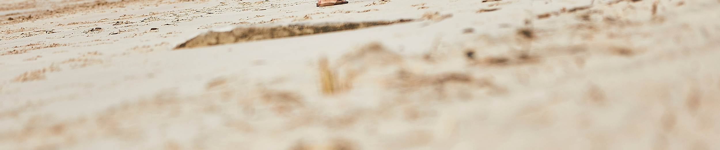 Menschen und Hunde am Elbstrand mit Blick auf die Elbe und den Hamburger Hafen im Hintergrund