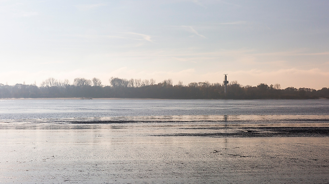 elbinsel-schweinestrand_blankenese-elbvororte_c-2018-timo-sommer-lee-maas