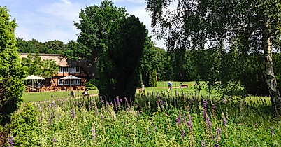 golf-club-st-dionys_c-golf-club-st-dionys-ev-3