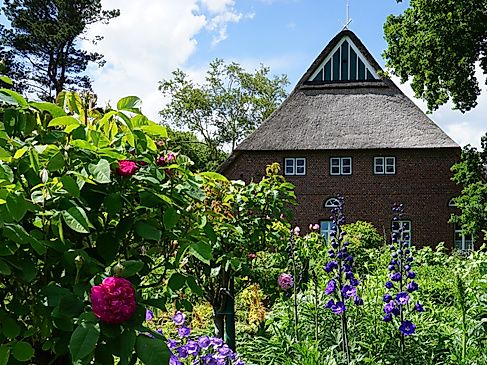 Historischer Münsterhof