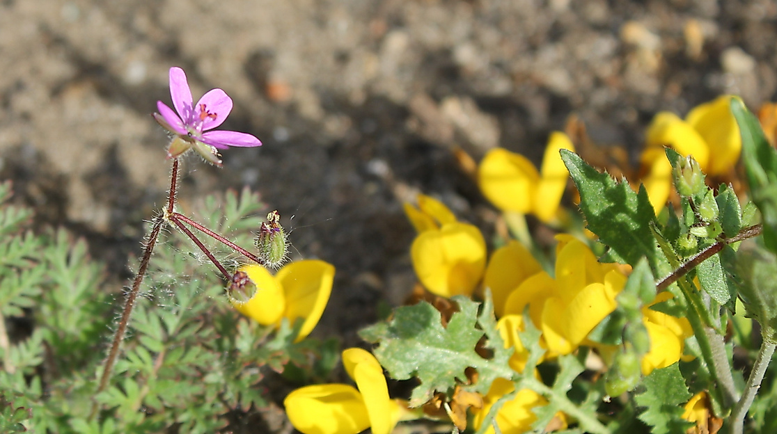 Frühstück für Alle