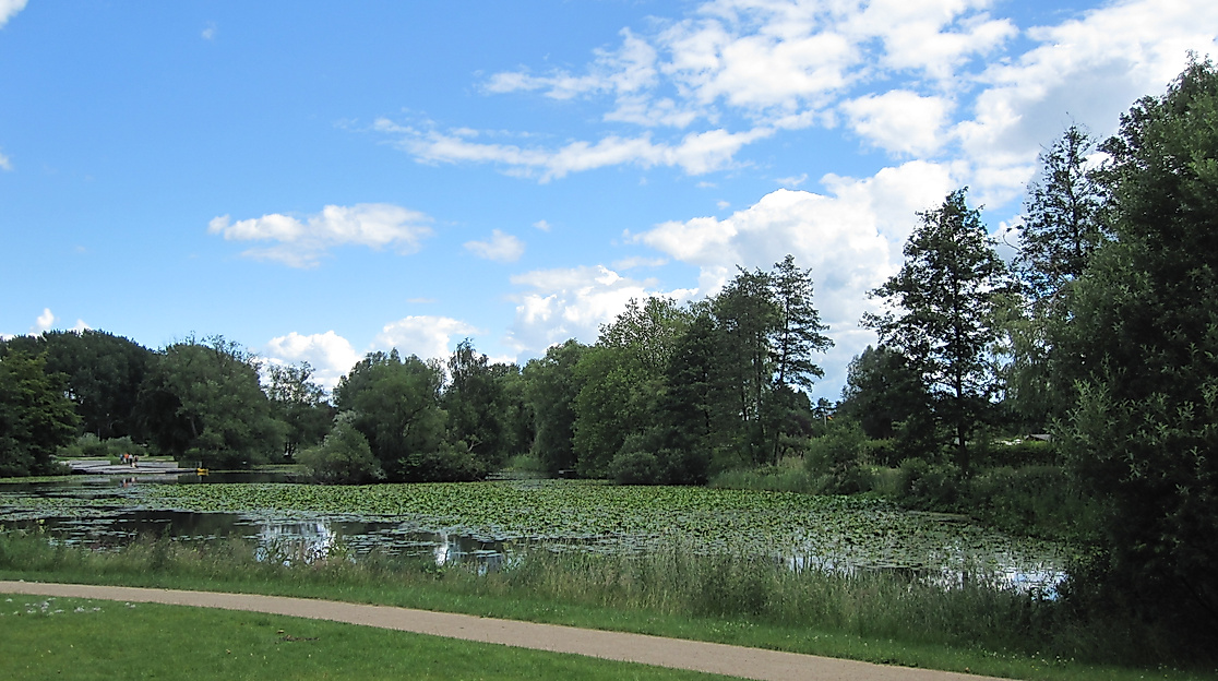 wilhelmsburger-inselpark_c-vera-mueller_04_1