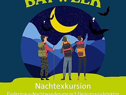 Batweek_Nachtwanderung