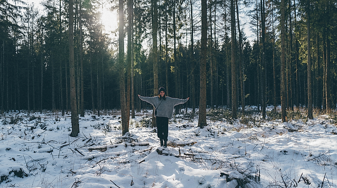 Sachsenwald in wintertime