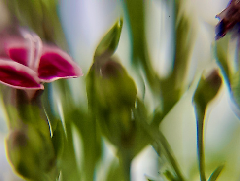 Auf der Zinne^- neuer Klang: Wirklichkeit und Traum