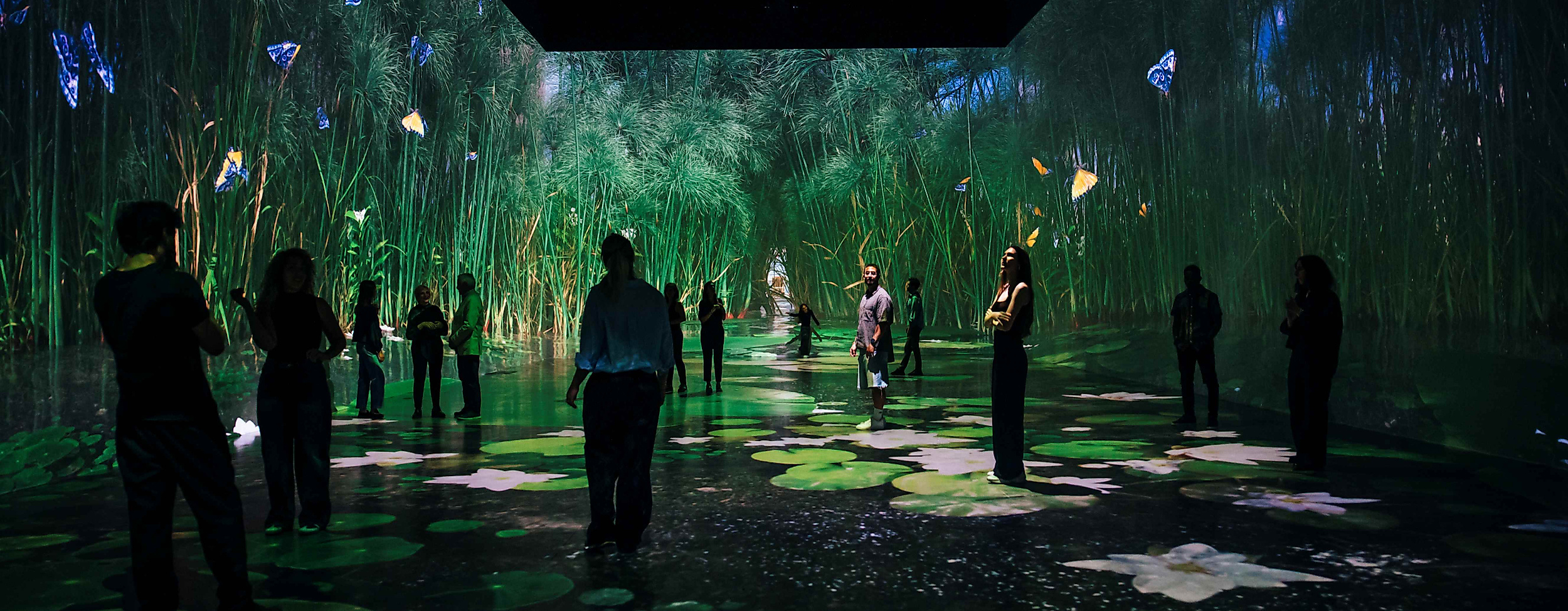 Immersive Naturprojektion