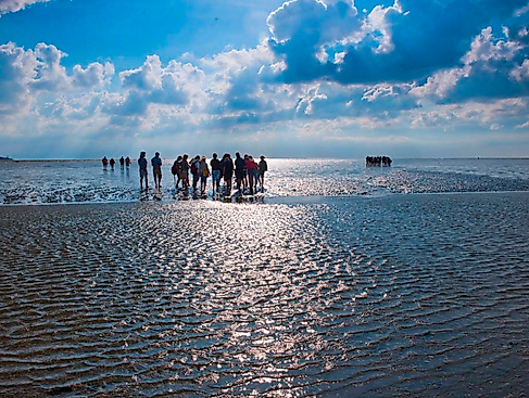 Wattwanderung in den Sonnenuntergang vor Büsum