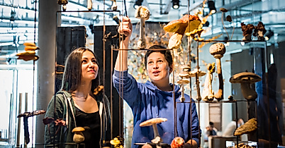 20130606_waelderhaus_ARLT-018