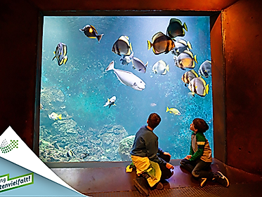 Workshop: Ocean Mystery