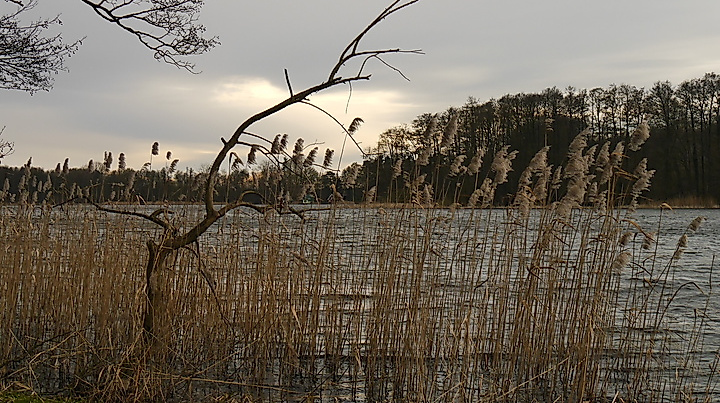 Vatertag auf zwei Rädern