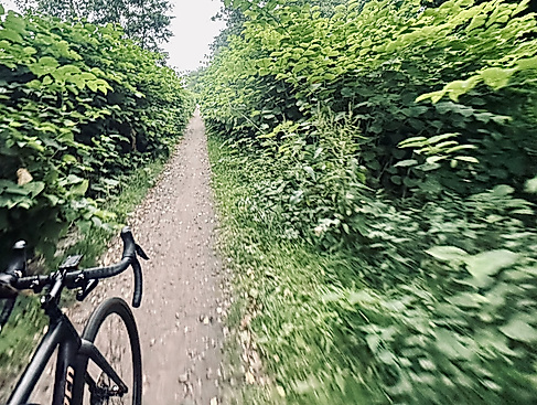 Rahlstedt Gravel Suite