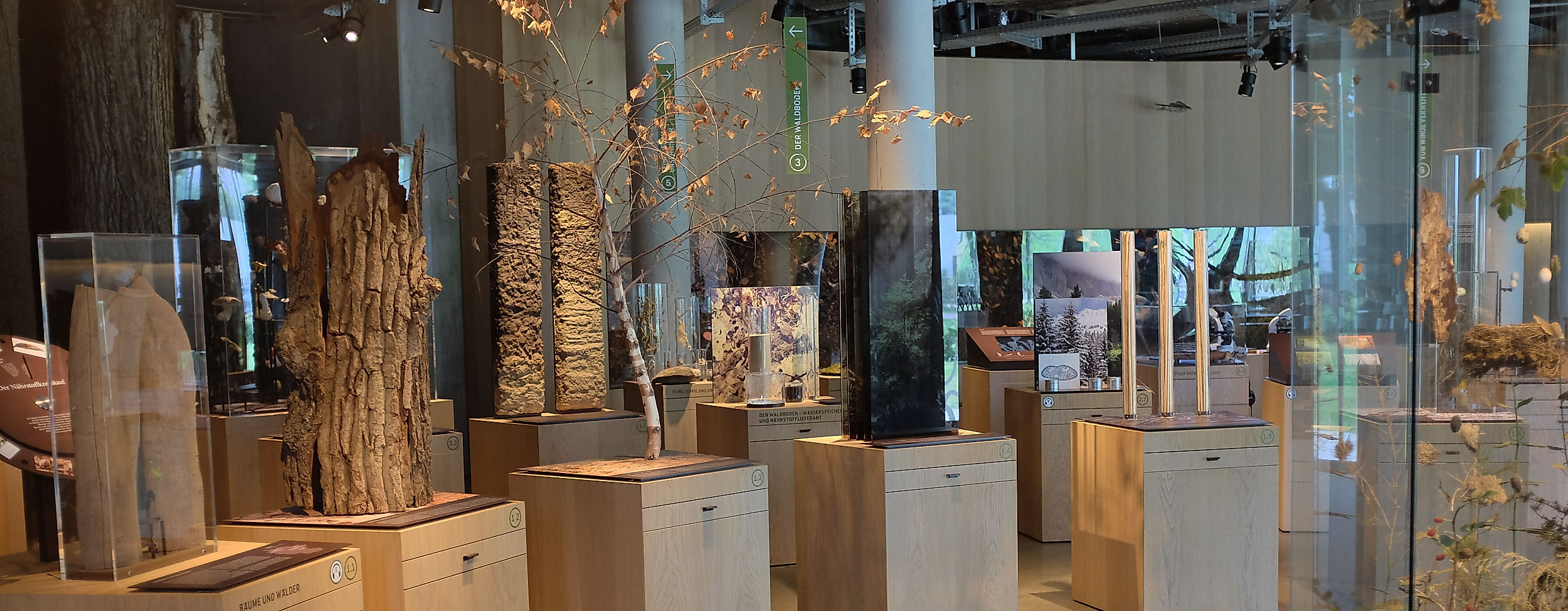 Wälderhaus Ausstellung Science Center Wald