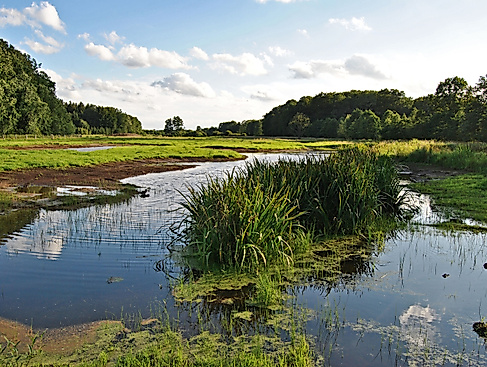 Plitsch platsch tierisch nass
