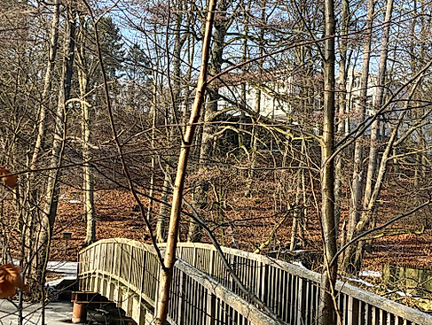 Waldhalle am Schmalsee mit Brücke