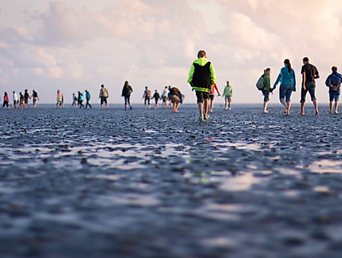 Watt für Einsteiger: Kurze Wattwanderung in Büsum