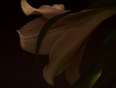 Andacht zur Sterbestunde Jesu