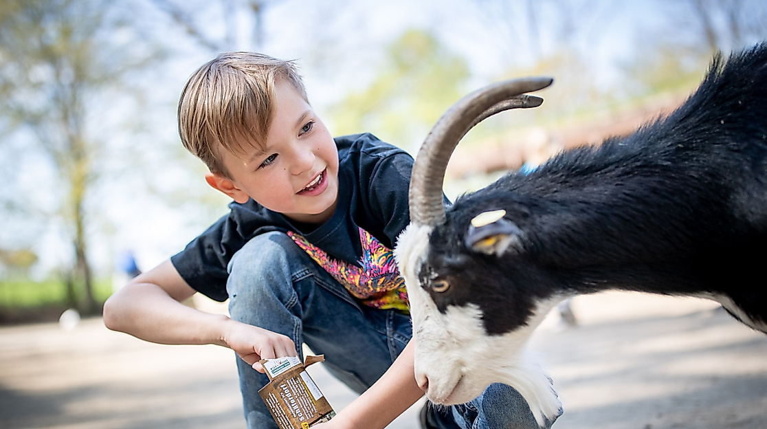 Wildpark Lüneburger Heide