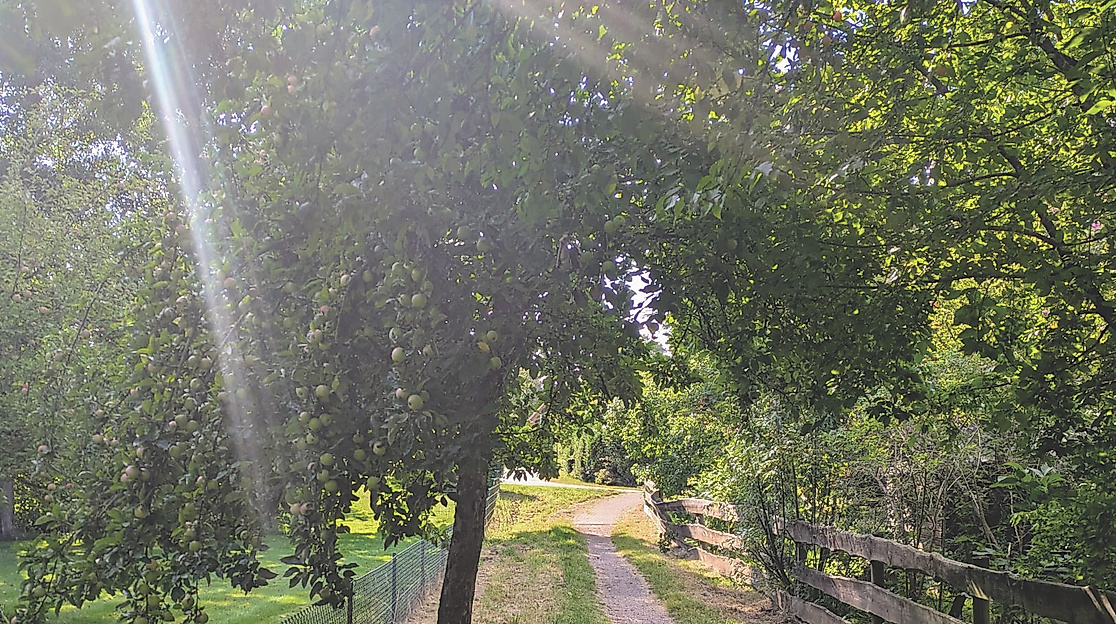 Pilgern auf historischen Spuren - "Vom Eise befreit..."