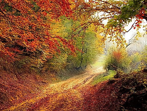 Herbst