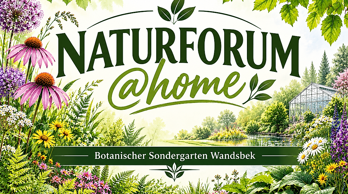 Naturforum @home im Botanischen Sondergarten