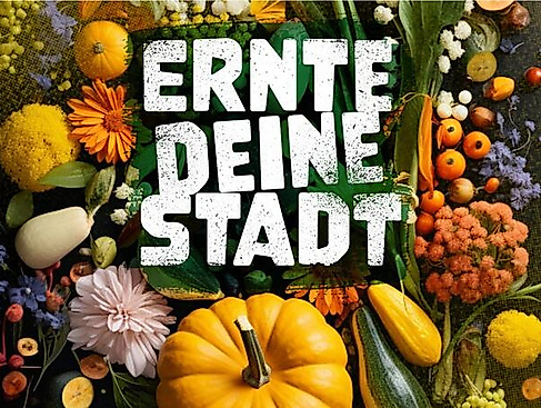 stadt bad oldesloe_ernte deine stadt_logo