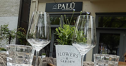 Palü
