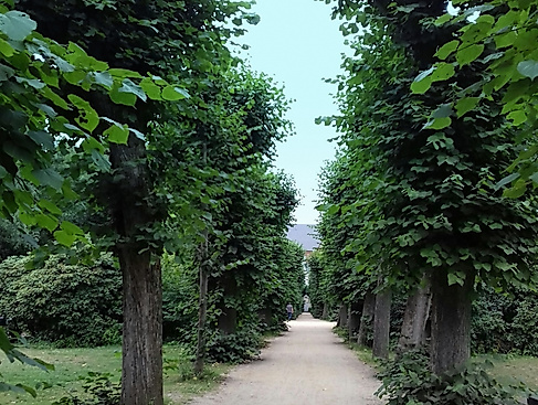 Wohlerspark im Sommer 2018