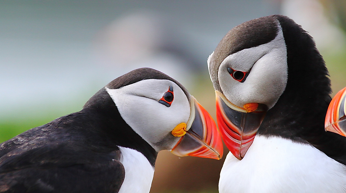 Photo 2 Wales07_CTMS_Matt_Hamilton