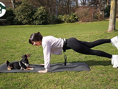 Aktiv mit Hund
