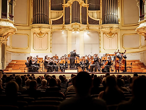 Hamburger Camerata / Albrecht Menzel