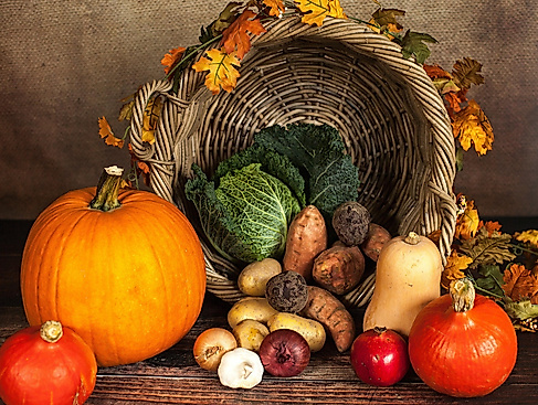 Familiengottesdienst zum Erntedank