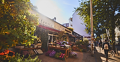 Belebte Außengastronomie an der Langen Reihe in Hamburg-St. Georg mit Blumenbeeten und Sonnenlicht am Nachmittag