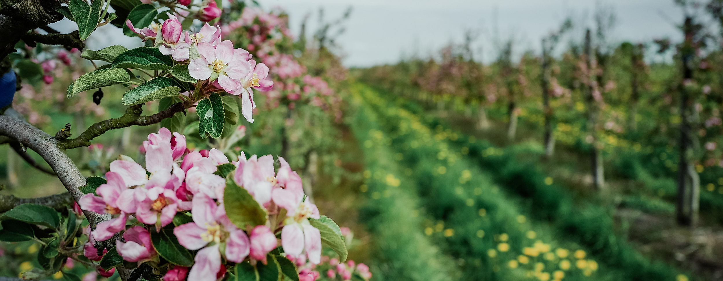 finkenwerder_hhlal_c-2017-geheimtipp-hamburg-1