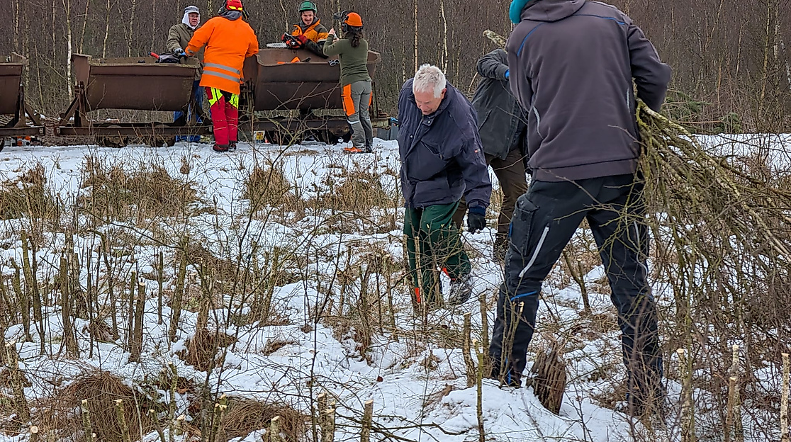 Helfer mit Reisig im Moor