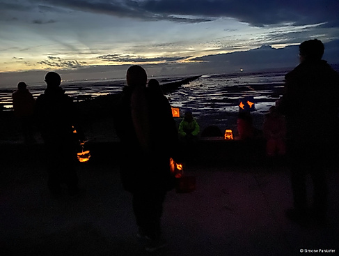 Zugvogel-Laternenumzug