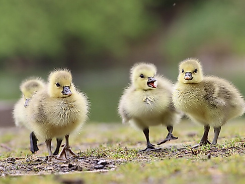 termin_07.05.26_IMG_1231