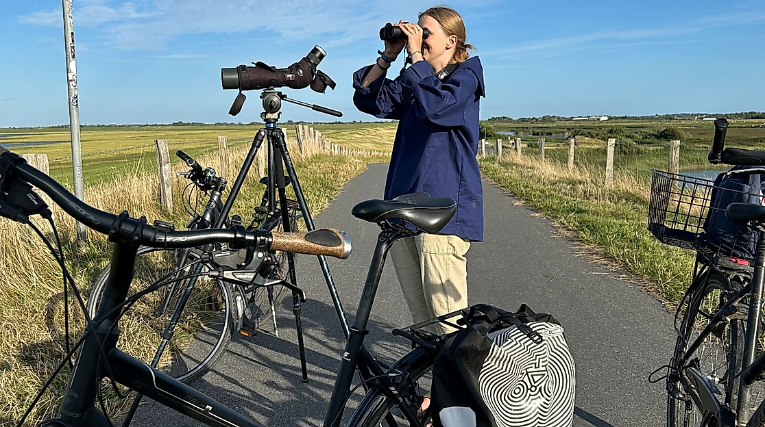 Fahrradtour durch den Speicherkoog