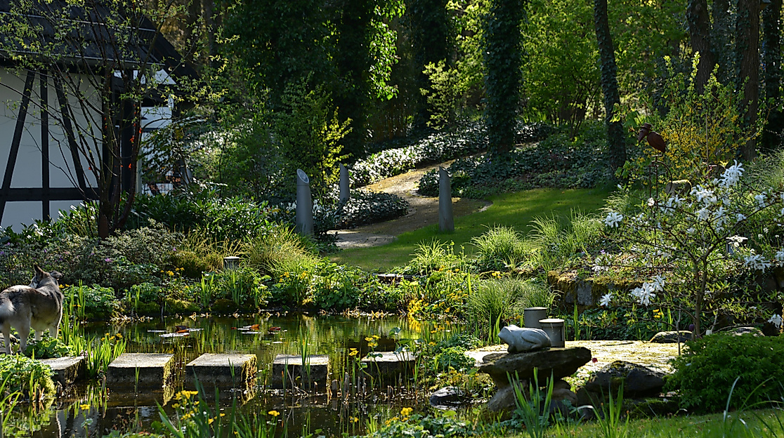 Teich und Weg im Landschaftsgarten