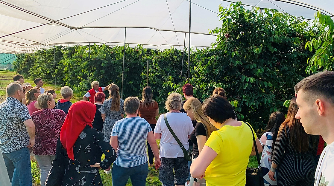 Hofführung zu Fuß mit Vitamine naschen