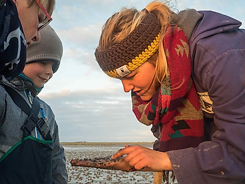 Wattwanderung für Familien: Das Watt entdecken!