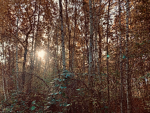 Pilgern durch die Jahreszeiten