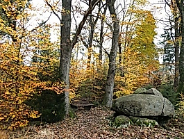 Hauptbild