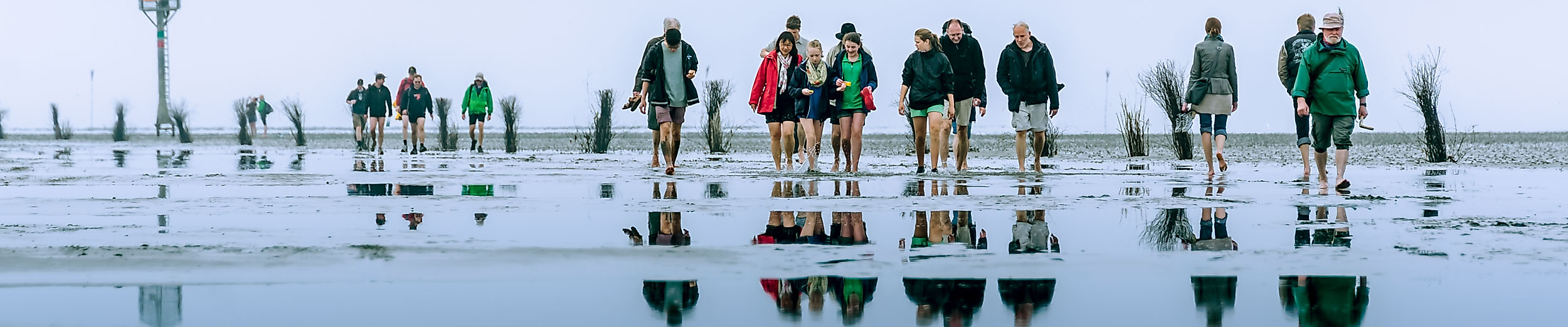 Gruppe von Wattwanderern spiegelt sich im nassen Schlick auf dem Weg zur Insel Neuwerk bei Ebbe.