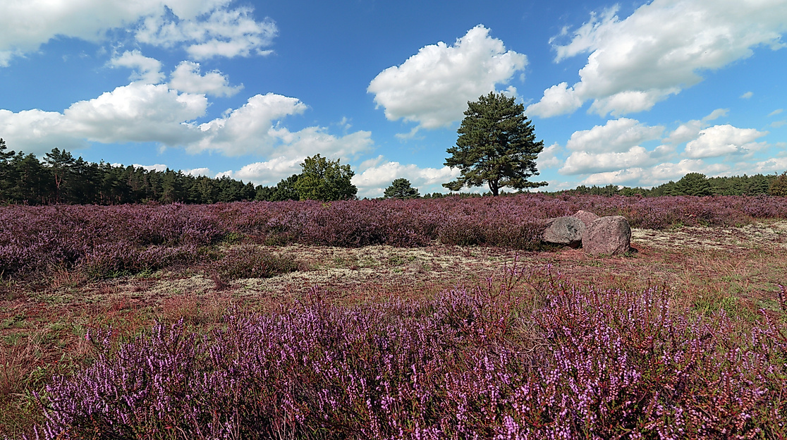 Wandern mit dem TuS Bodenteich