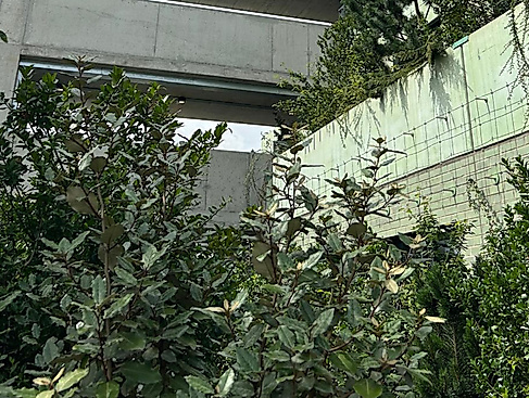 Foto-Workshop: Paradies Hamburg – Grau trifft Grün