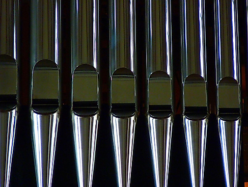 Bild von LoggaWiggler auf Pixabay